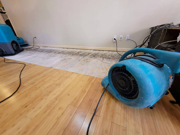 Professional Structural Drying technician working in Adamsville, AL
